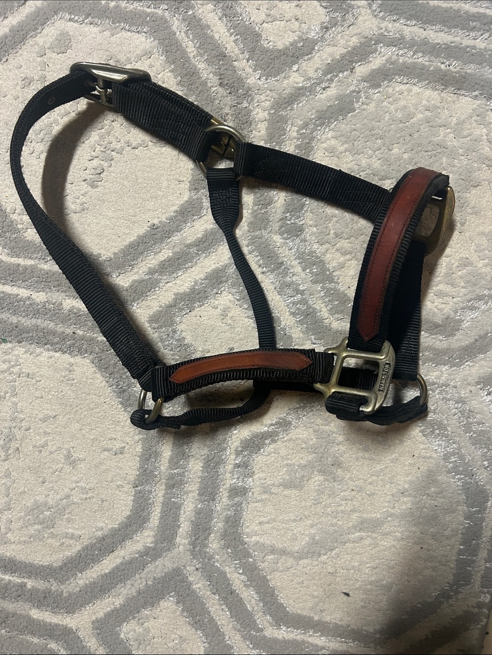 Used Bag strap hardware close-up